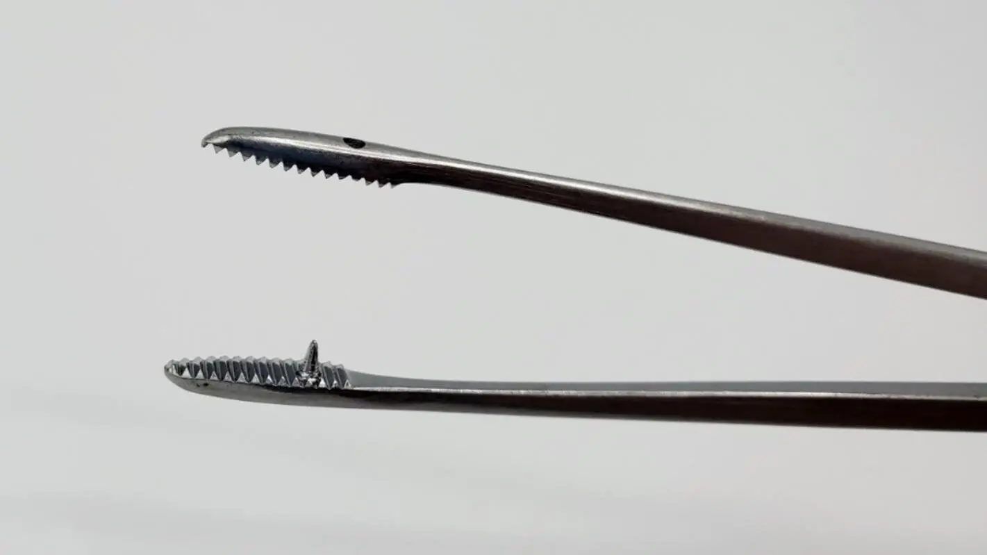 Karl Storz 10970 K Endoscopy 20cm Sponge and Dissecting Forceps 10-1/2" - Image 3