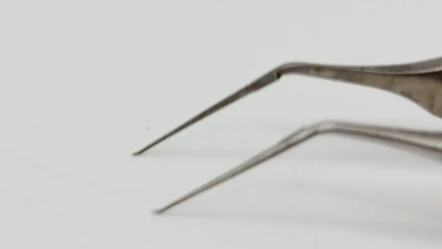 Katena K5-5081 Utrata Capsulorrhexis Forceps 4" - Image 3