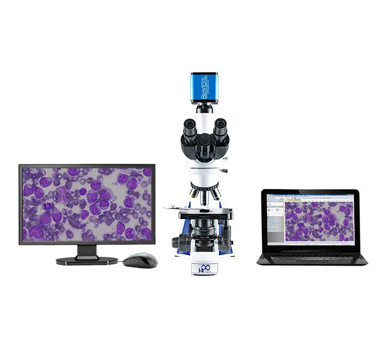 LW Scientific BioVID HD 1080+ 2MP Microscope Camera Video Cam w/without Monitor